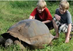 Ecuador and Galapagos Islands Adventures By Disney