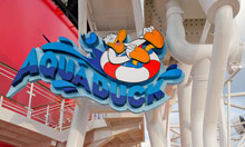 AquaDuck