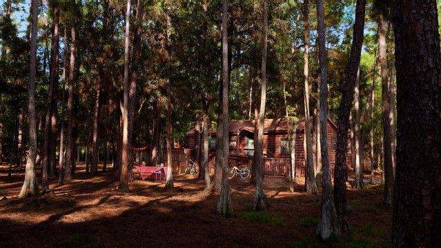 cabins-at-fort-wilderness-resort-gallery01