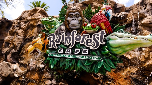 rainforest-cafe-downtown-disney-00 (1)