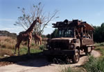 kilimanjaro_safaris_150