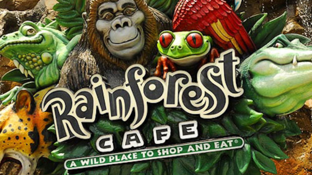 rainforest-cafe-shop-00