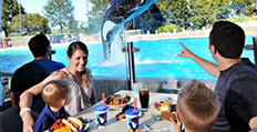 0b650b75189940479a8c91975fcf3517_dine-with-shamu_232x119