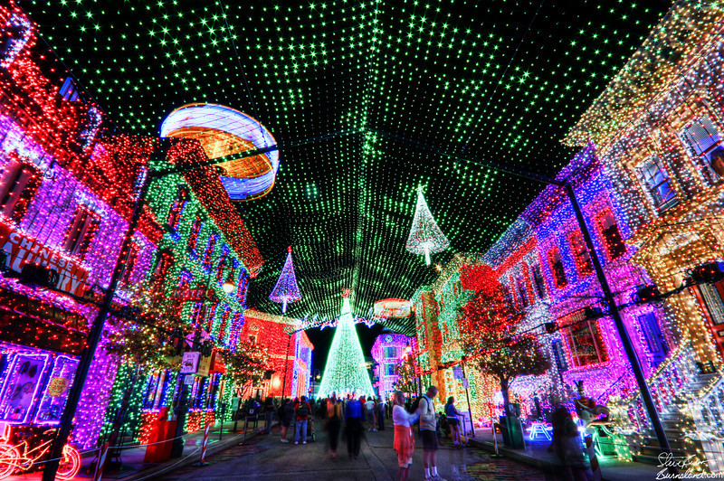 Osborne-Family-Lights-122811-L