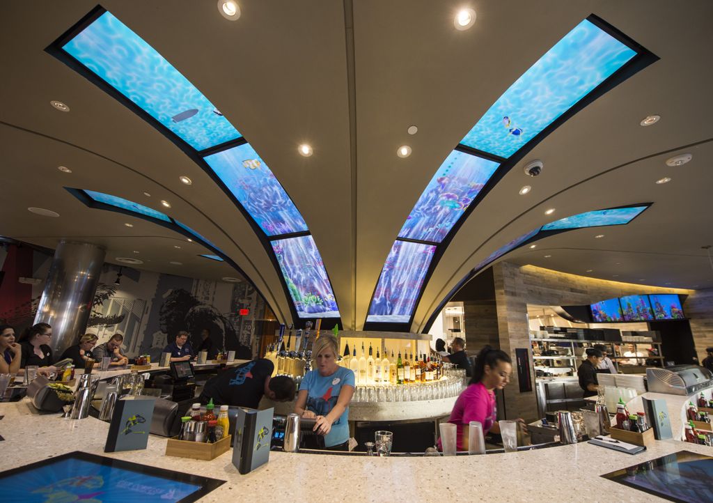 CityWalkCowfish02