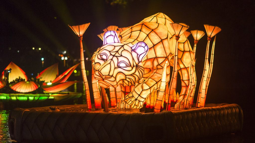 Learn About The ‘Rivers of Light’ Animal Spirit Guides