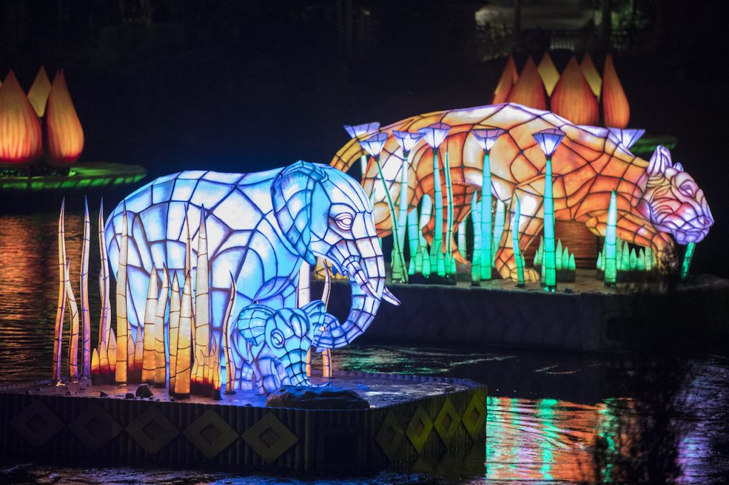 Learn About The ‘Rivers of Light’ Animal Spirit Guides