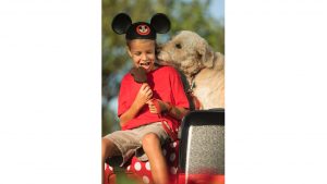 Dogs Welcome at Select Walt Disney World Hotels Starting Oct. 15