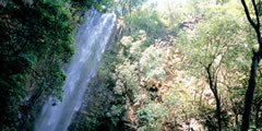 kauai1