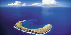 maui2